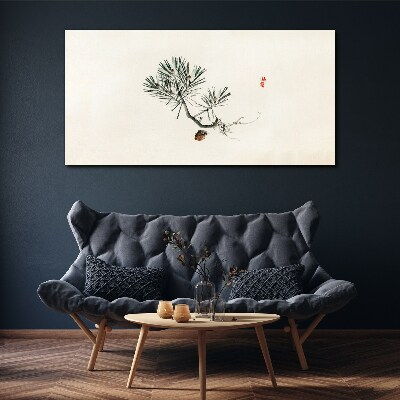 Foto auf leinwand Kiefer auf weißem Hintergrund