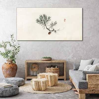 Foto auf leinwand Kiefer auf weißem Hintergrund