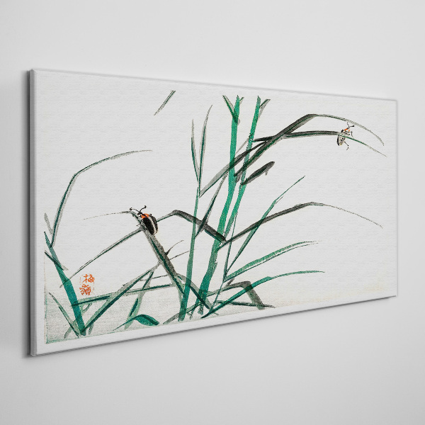 Foto leinwand Gräser und Insekten im Einklang
