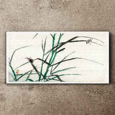 Foto leinwand Gräser und Insekten im Einklang