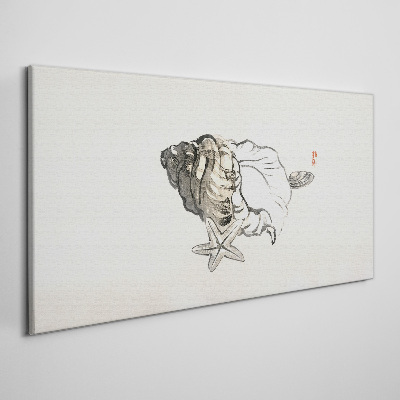 Bild auf leinwand Seesternmuschel