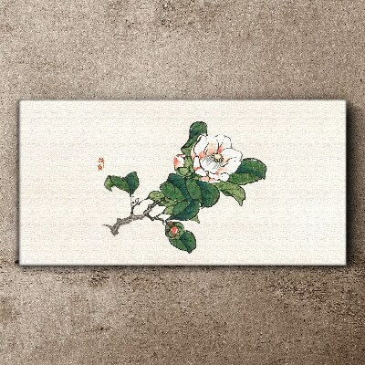 Foto leinwand Asiatische Blumen