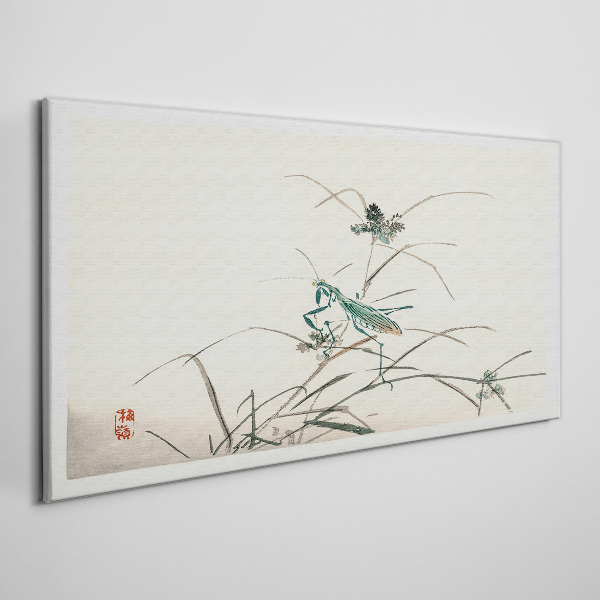Bild auf leinwand Schmetterling auf dem Gras
