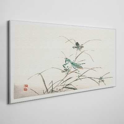 Bild auf leinwand Schmetterling auf dem Gras