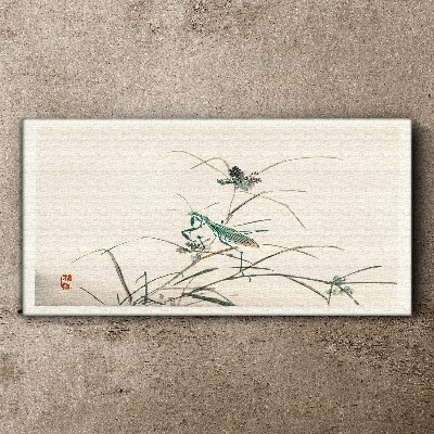 Bild auf leinwand Schmetterling auf dem Gras