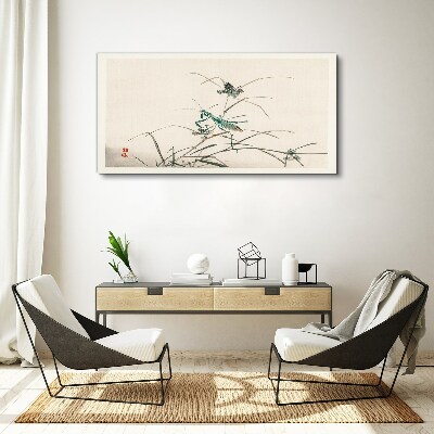 Bild auf leinwand Schmetterling auf dem Gras