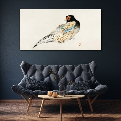 Foto auf leinwand Fasan im eleganten Federkleid