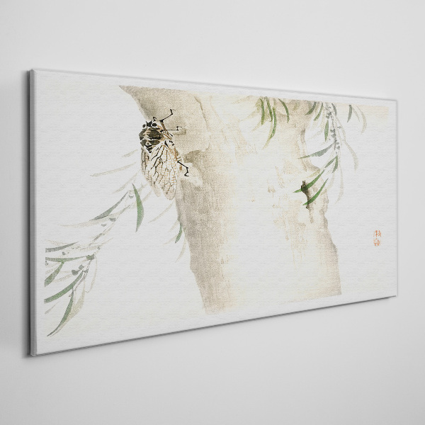 Foto auf leinwand Zikade auf dem Zweighintergrund