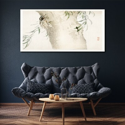 Foto auf leinwand Zikade auf dem Zweighintergrund