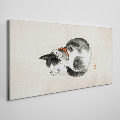 Foto auf leinwand Schlafende Katze