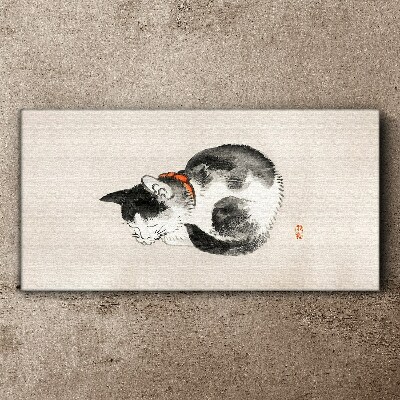 Foto auf leinwand Schlafende Katze