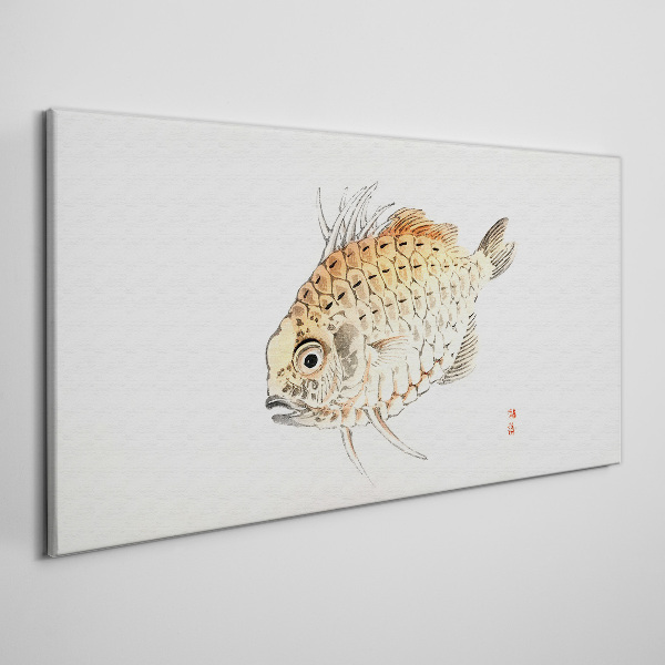 Leinwandbild Goldfisch auf weißem Hintergrund
