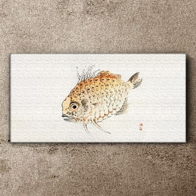 Leinwandbild Goldfisch auf weißem Hintergrund