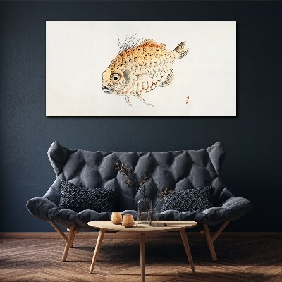Leinwandbild Goldfisch auf weißem Hintergrund