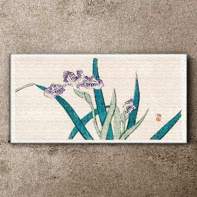Leinwandbild Irisblüten auf hellem Hintergrund