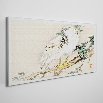 Foto auf leinwand Falke auf einem Ast