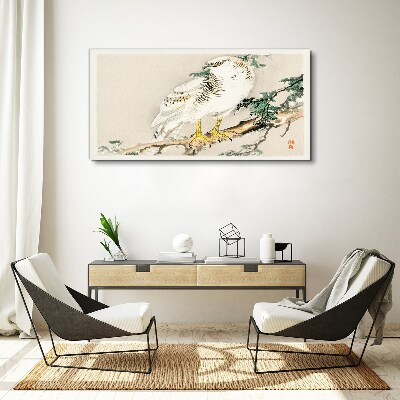Foto auf leinwand Falke auf einem Ast