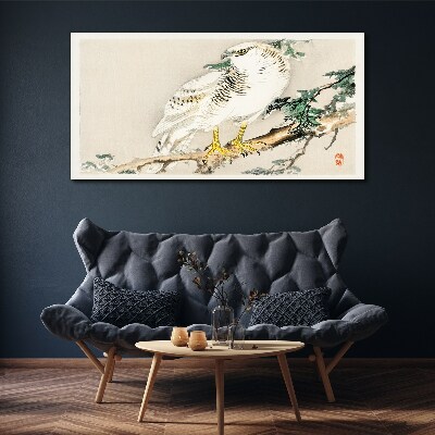 Foto auf leinwand Falke auf einem Ast