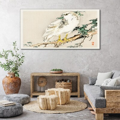 Foto auf leinwand Falke auf einem Ast