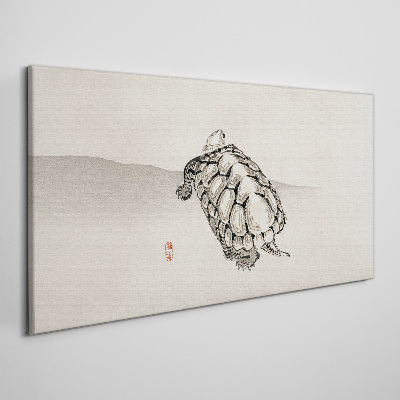 Bild auf leinwand Schildkröte auf minimalistischem Hintergrund