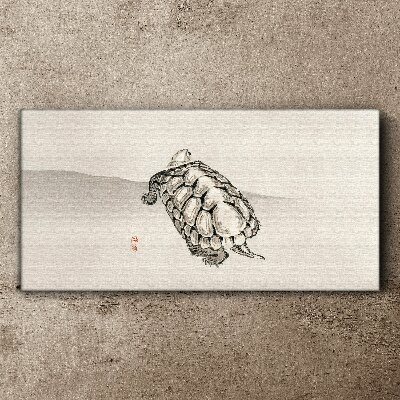 Bild auf leinwand Schildkröte auf minimalistischem Hintergrund