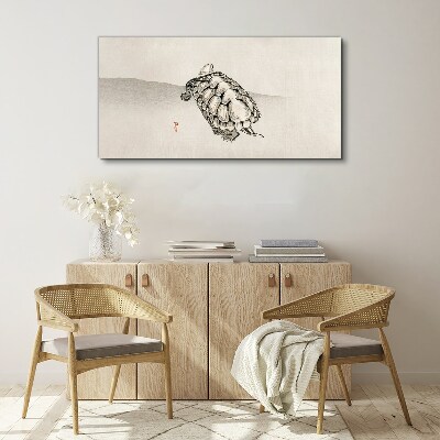 Bild auf leinwand Schildkröte auf minimalistischem Hintergrund