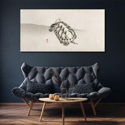 Bild auf leinwand Schildkröte auf minimalistischem Hintergrund