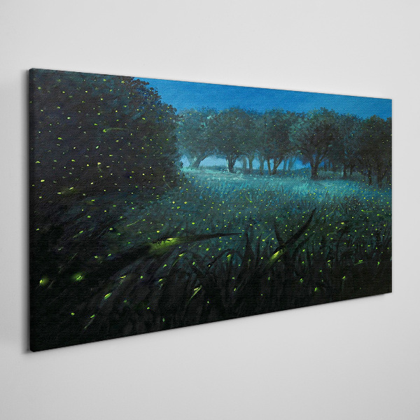 Foto auf leinwand Nachtlichter im Wald