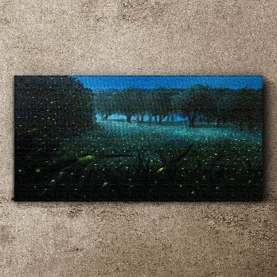 Foto auf leinwand Nachtlichter im Wald