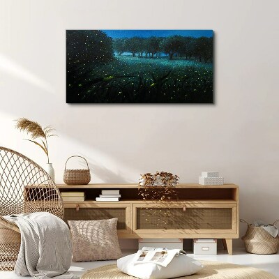 Foto auf leinwand Nachtlichter im Wald