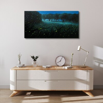Foto auf leinwand Nachtlichter im Wald