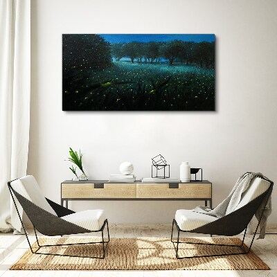 Foto auf leinwand Nachtlichter im Wald