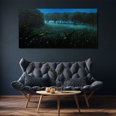 Foto auf leinwand Nachtlichter im Wald