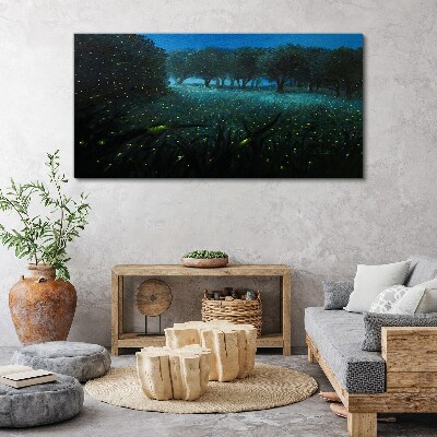 Foto auf leinwand Nachtlichter im Wald