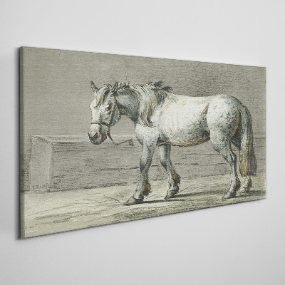 Foto auf leinwand Gehendes Pferd in Grautönen
