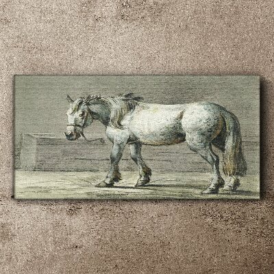 Foto auf leinwand Gehendes Pferd in Grautönen