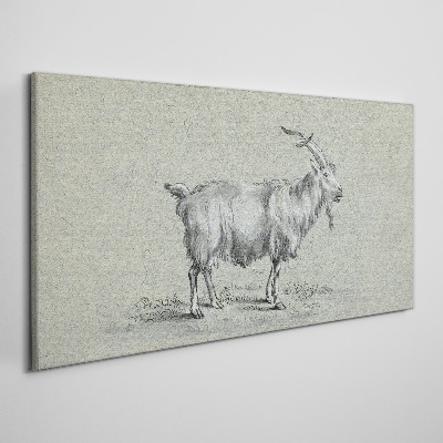 Foto auf leinwand Ziege auf grauem Papierhintergrund