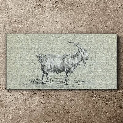 Foto auf leinwand Ziege auf grauem Papierhintergrund