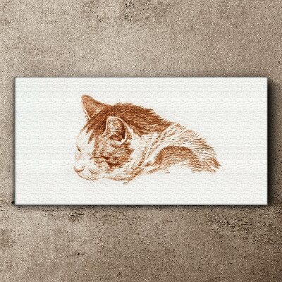 Foto auf leinwand Schläfriger Katzenmoment