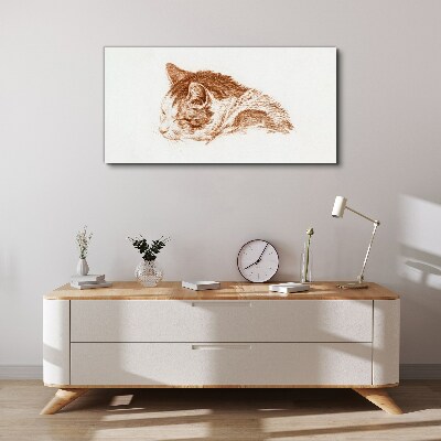 Foto auf leinwand Schläfriger Katzenmoment