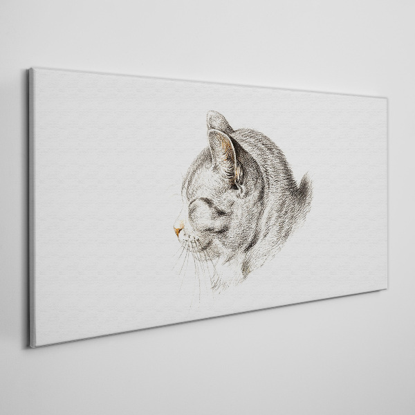Foto auf leinwand Porträt einer grauen Katze auf weißem Hintergrund