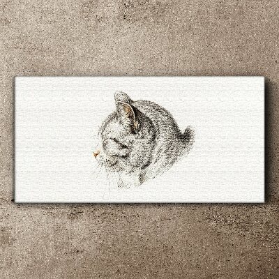 Foto auf leinwand Porträt einer grauen Katze auf weißem Hintergrund