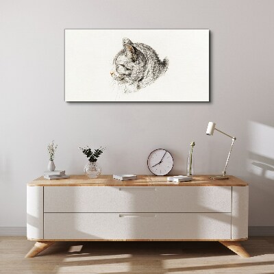 Foto auf leinwand Porträt einer grauen Katze auf weißem Hintergrund