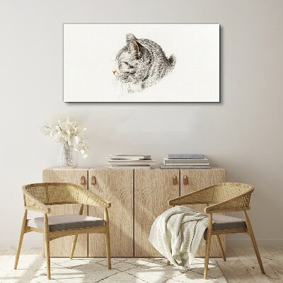 Foto auf leinwand Porträt einer grauen Katze auf weißem Hintergrund