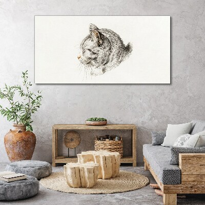 Foto auf leinwand Porträt einer grauen Katze auf weißem Hintergrund