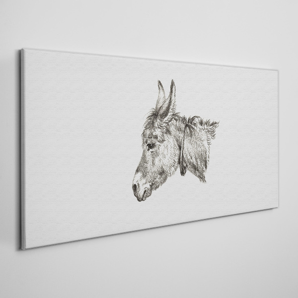 Foto auf leinwand Porträt eines Esels im monochromen Stil