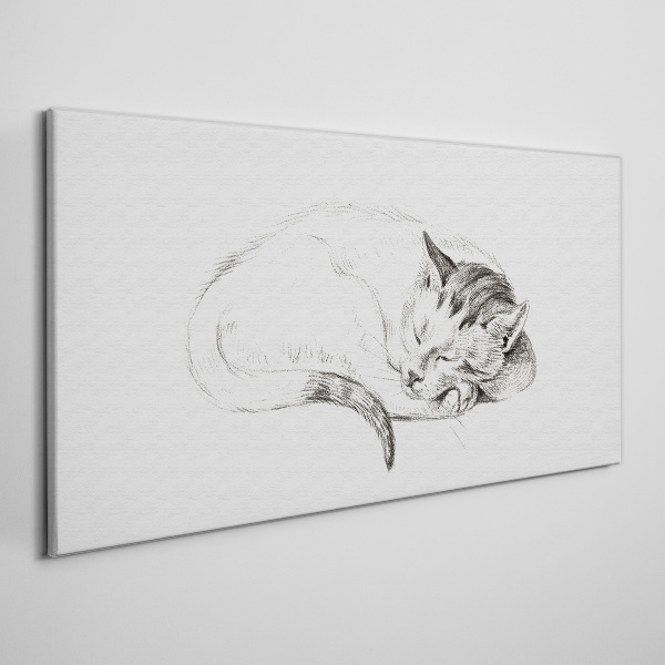 Bild auf leinwand Schlafende Katze