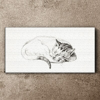 Bild auf leinwand Schlafende Katze