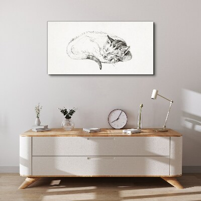 Bild auf leinwand Schlafende Katze