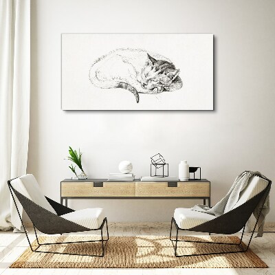 Bild auf leinwand Schlafende Katze